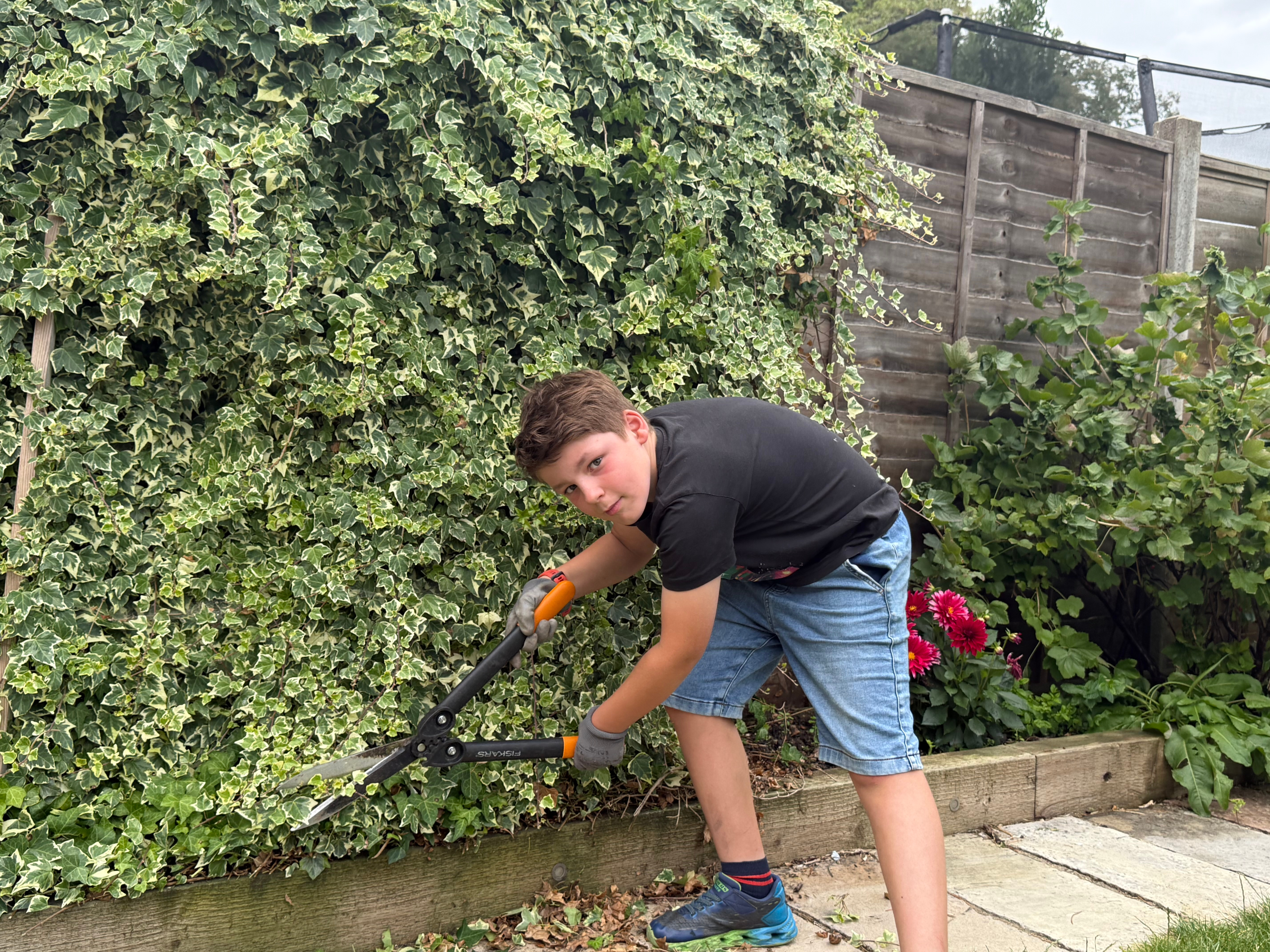 concrete house in lush environment