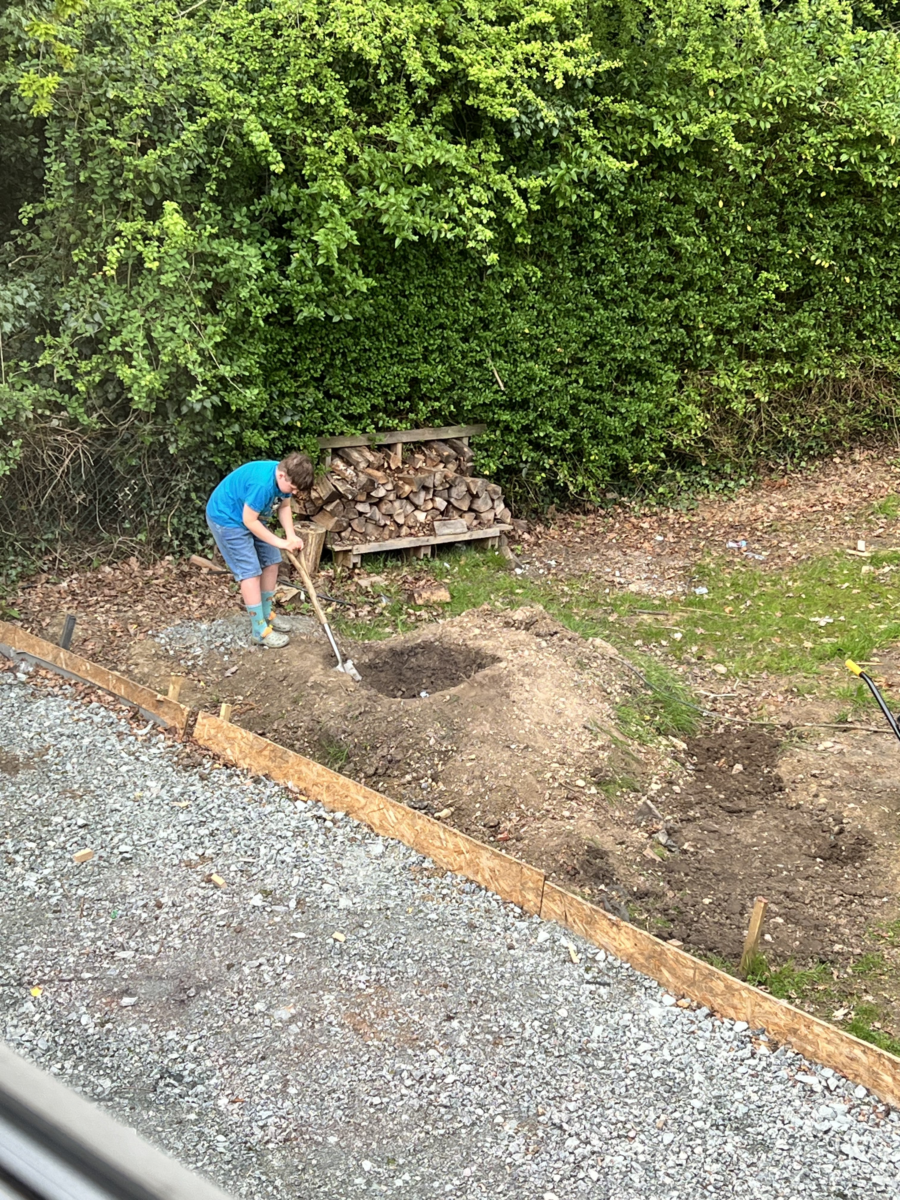 garden full of hedges and flowers