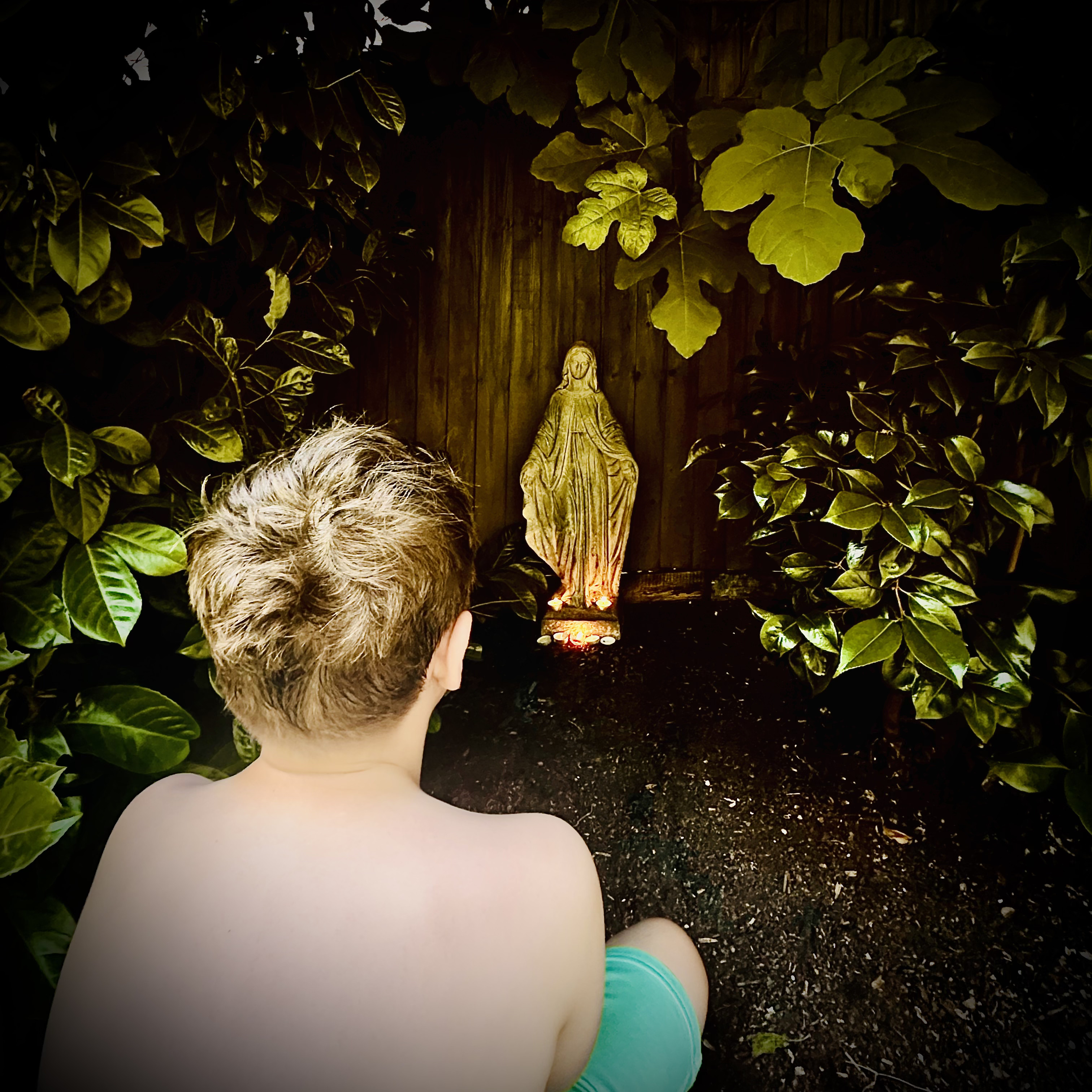 close-up of flowers on vine