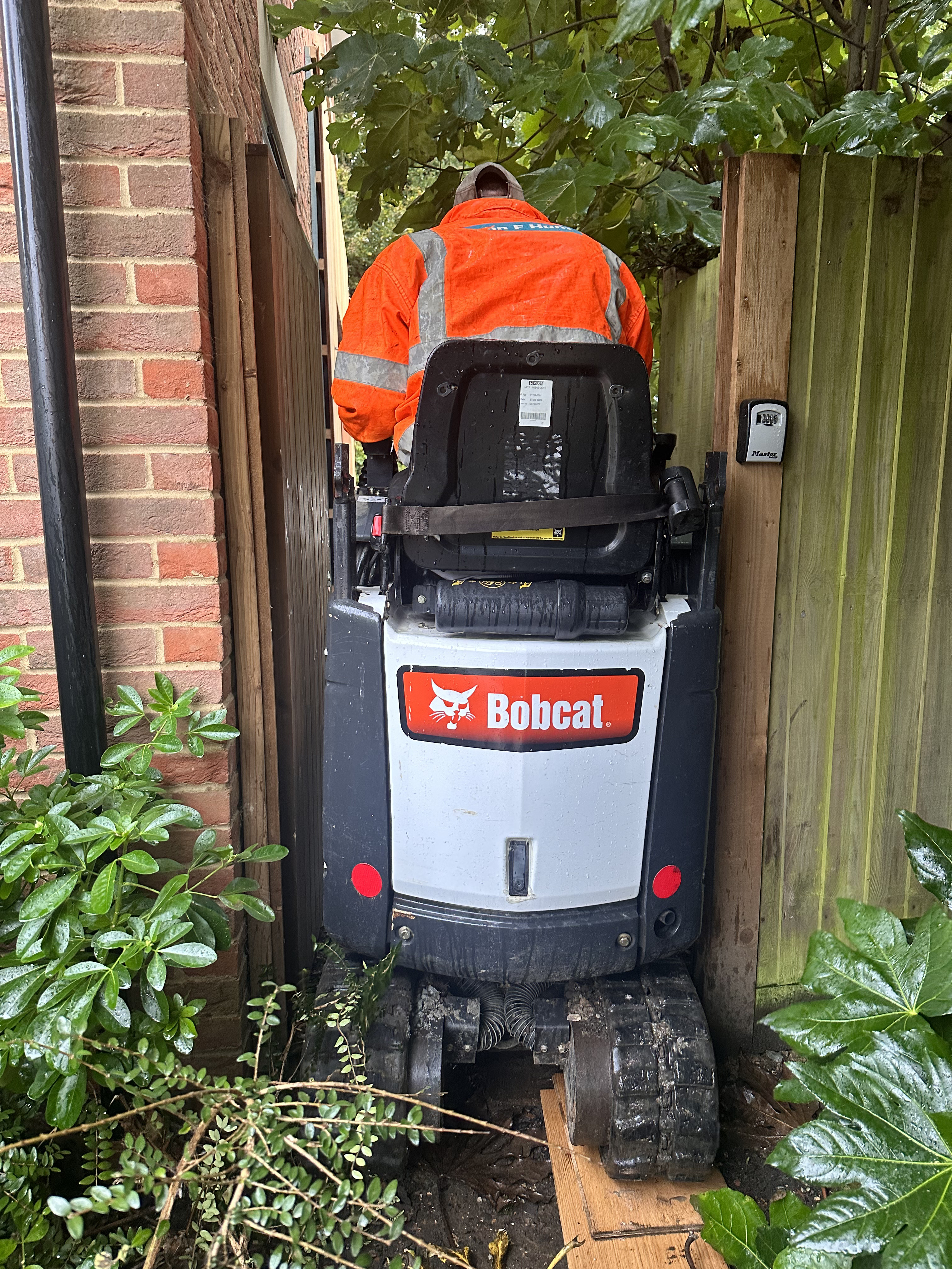 pool in green garden