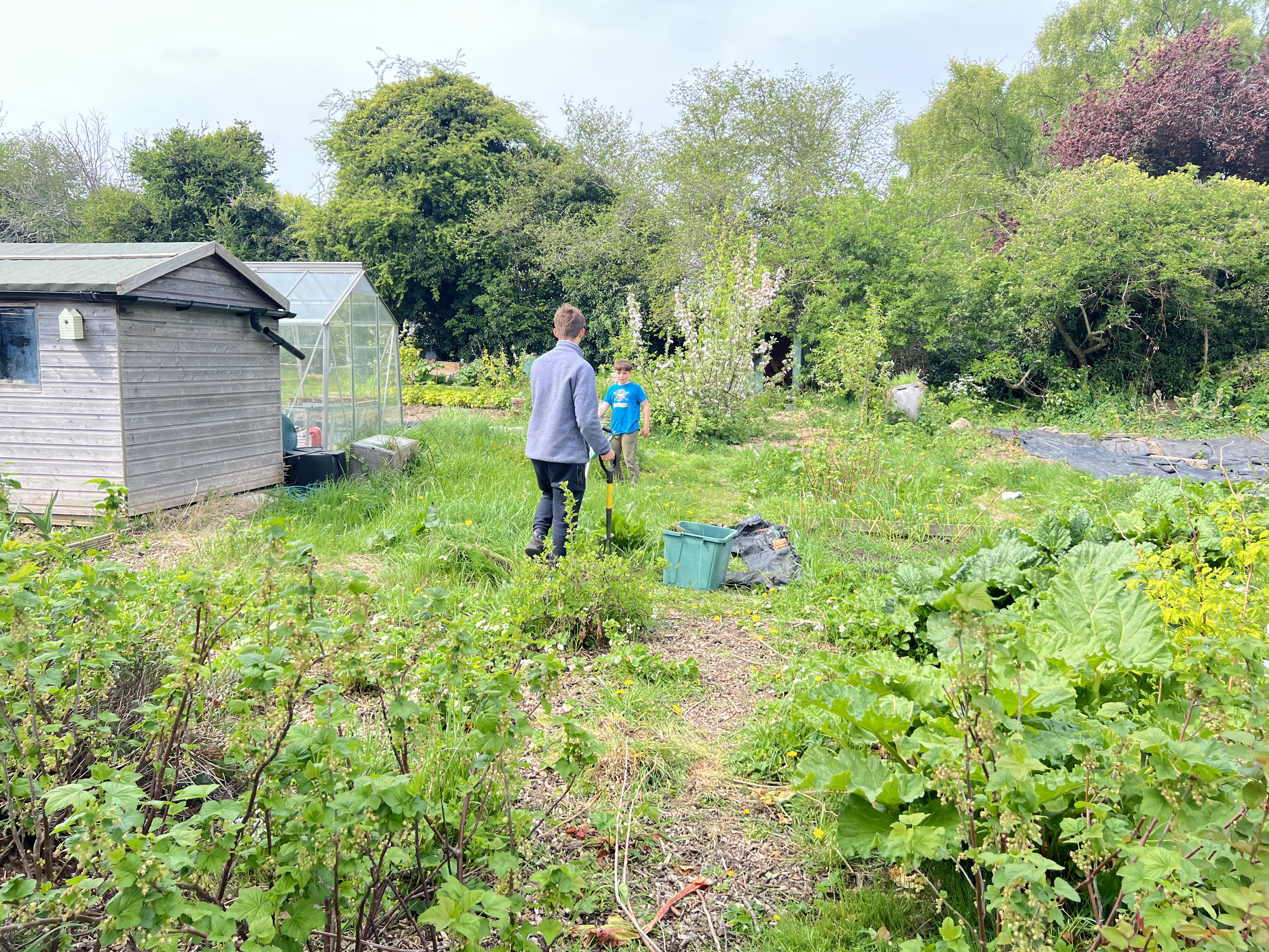 brick road with flowers on the side